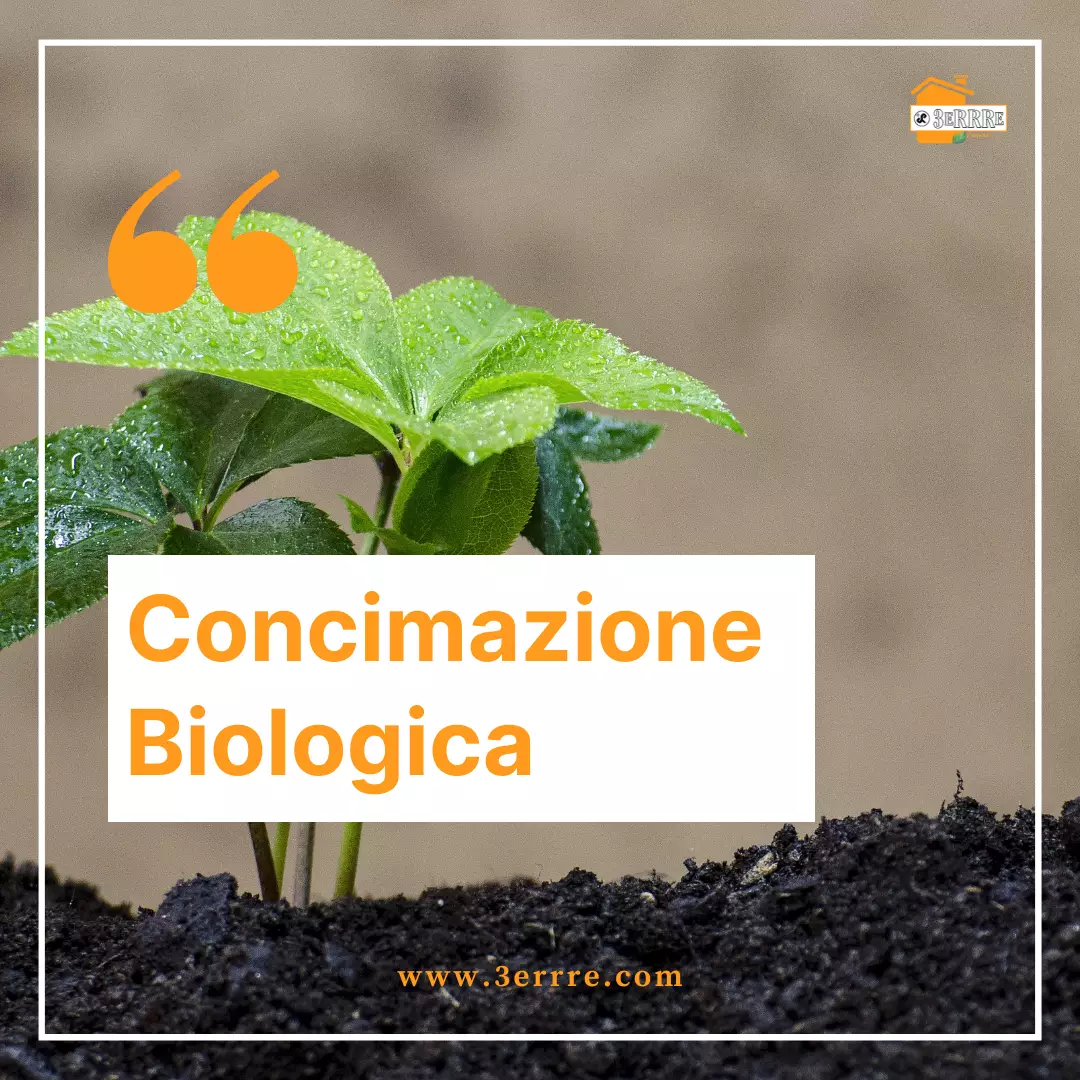 concimazione-biologica-per-preparare-il-terreno