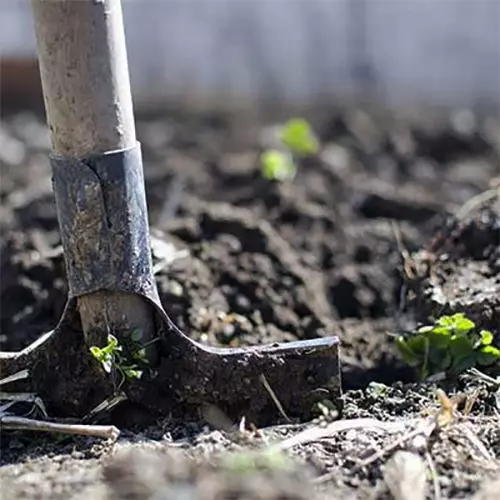 preparazione-biologica-del-terreno