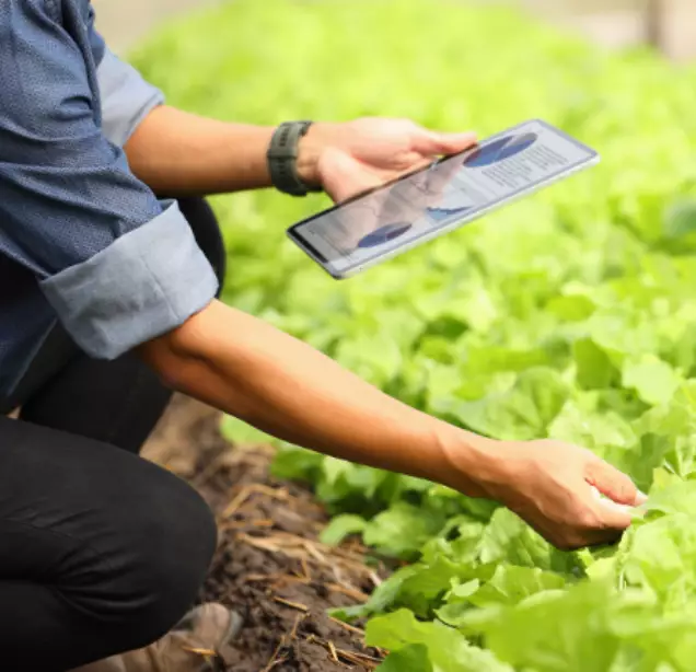 assistenza-tecnica-per-soluzioni-agricole